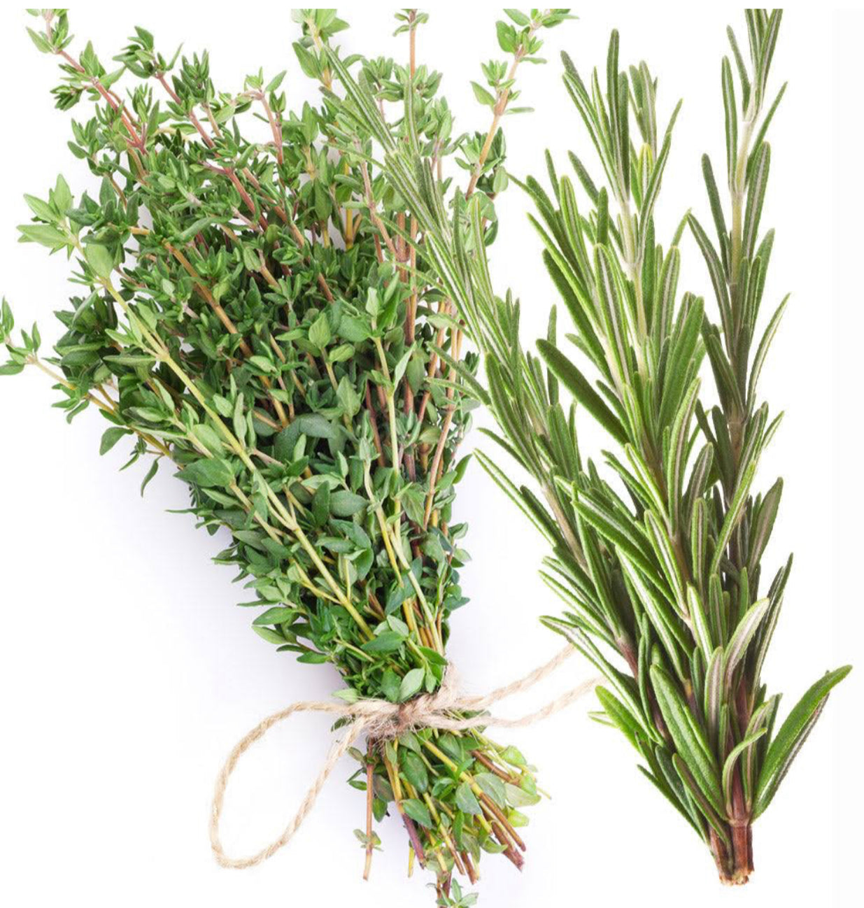 Thyme